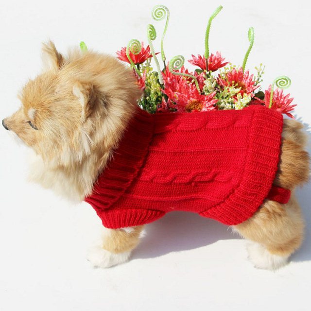 Dog sweater